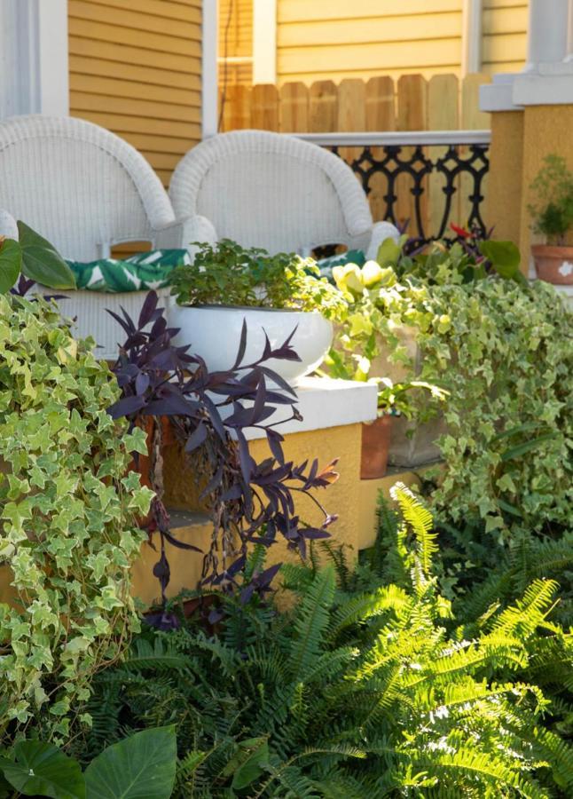 Auld Sweet Olive Bed And Breakfast La Nouvelle-Orléans Extérieur photo