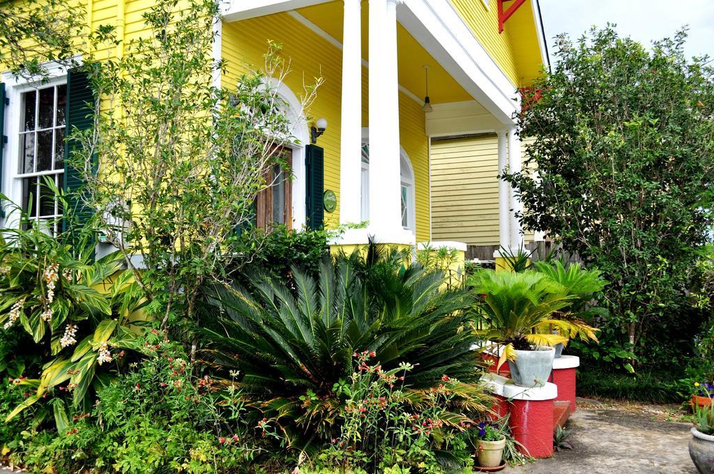 Auld Sweet Olive Bed And Breakfast La Nouvelle-Orléans Extérieur photo